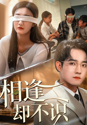 相逢却不识（77集）热播短剧停不下来