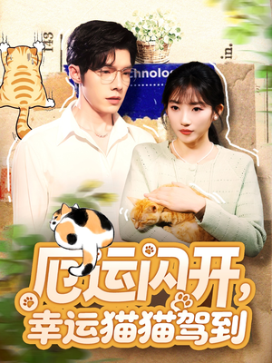 厄运闪开，幸运猫猫驾到（62集）免费看全网影视短剧动漫