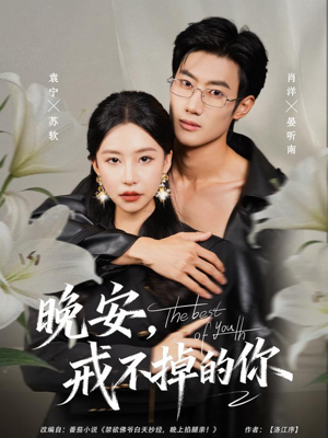 晚安，戒不掉的你（68集）在线就可以看短剧全集了