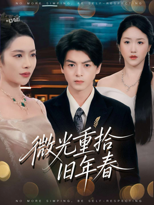 微光重拾旧年春（80集）免费短剧在线观看