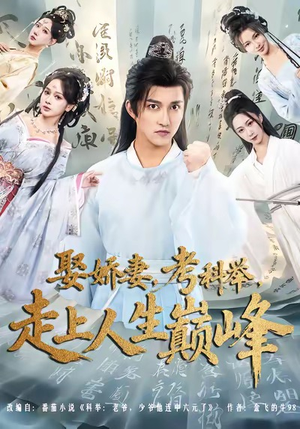 娶娇妻，考科举，走上人生巅峰（80集）每日热门短剧推荐