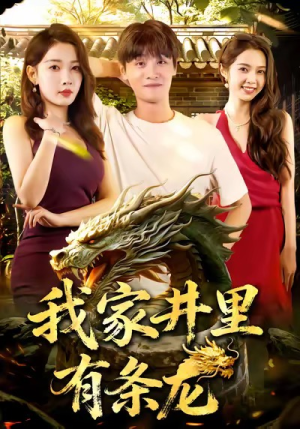 我家井里有条龙（80集）短剧合集4K修复版