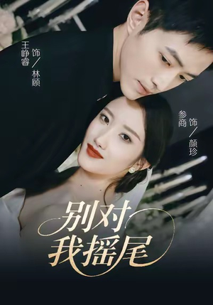 别对我摇尾（59集）好看短剧每天更新