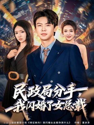 民政局分手，我闪婚了女总裁（72集）热播短剧排行榜