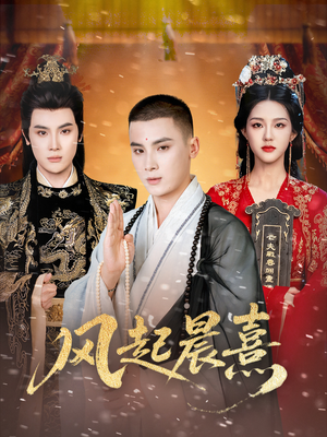 风起晨熹（63集）大结局直达的短剧精选资源