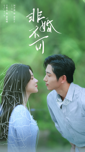 非婚不可（65集）全网短剧抢先看全集