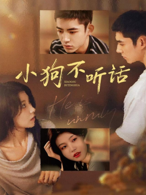 小狗不听话（70集）免费观看完整版短剧