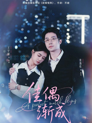 佳偶渐成（71集）口碑之选短剧免费看