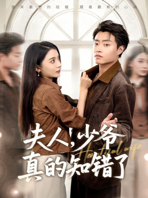 夫人，少爷真的知错了（82集）排行榜前十短剧免费看