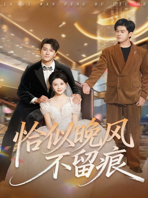 恰似晚风不留痕（61集）短剧大剧场短剧推荐
