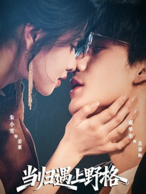 当归遇上野格（66集）热播短剧全集看