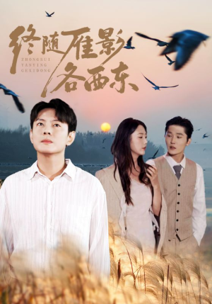 终随雁影各西东（86集）免费观看热门短剧大结局