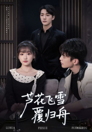 芦花飞雪覆归舟（77集）全集短剧免费观看不收费