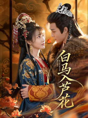 白马入芦花（59集）超好看短剧抢先看全集