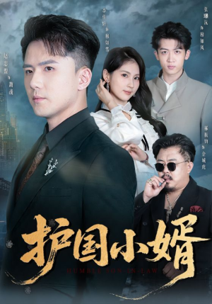 护国小婿（60集）免费看全网短剧