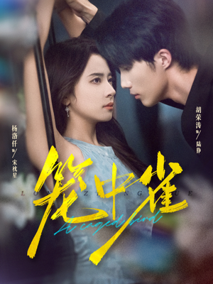 笼中雀（65集）精彩短剧热播中