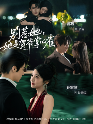 别惹她，她是贺爷掌心雀（69集）热播短剧持续更新