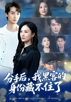 分手后，我黑客的身份藏不住了（80集）好评如潮的排行榜前十短剧