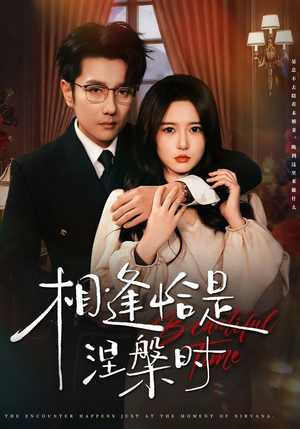相逢恰是涅槃时（63集）超好看短剧推荐