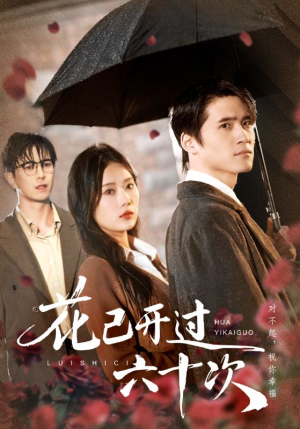 花已开过六十次（72集）免费短剧在线看全集