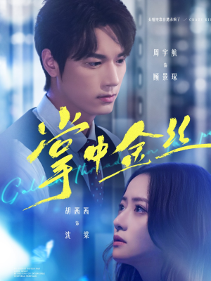 掌中金丝（60集）火爆短剧来袭好看又上头