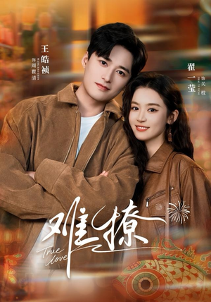 难撩（100集）热播短剧停不下来