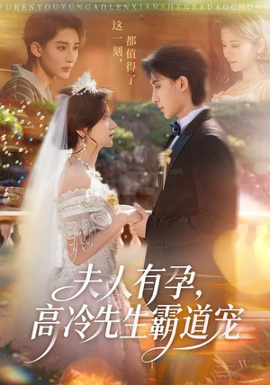 夫人有孕，高冷先生霸道宠（60集）全集短剧免费在线观看