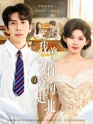 我曾为你奔南赴北（60集）红果免费看短剧