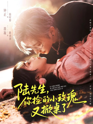 陆先生，你捡的小玫瑰又掀桌了（74集）每天分享好看短剧