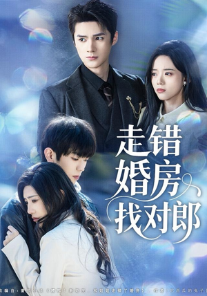 走错婚房找对郎（50集） 一口气看到热门短剧全集