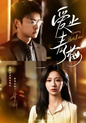 爱止青梅（60集） 真的太精彩了短剧分享