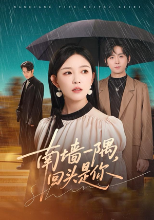 南墙一隅，回头是你（61集）红果短剧免费看后续