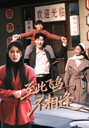 至此飞鸟不相逢（70集）不要钱看完整部短剧