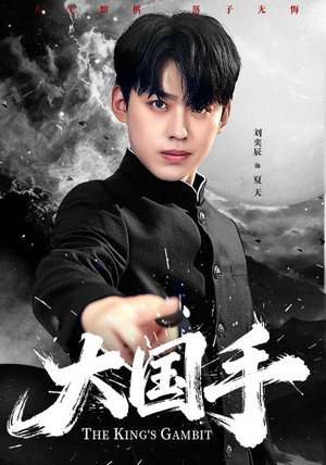 大国手（76集）短剧合集蓝光画质