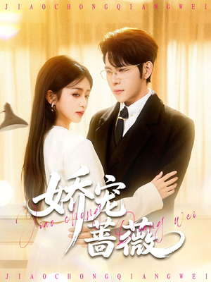 娇宠蔷薇（93集）每日短剧分享更新