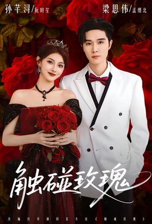 触碰玫瑰（80集）大结局一气呵成的热门短剧