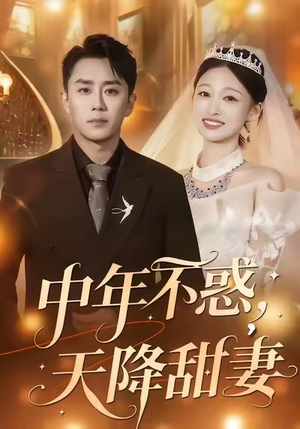 中年不惑，天降甜妻（60集）分文不花看完整部短剧