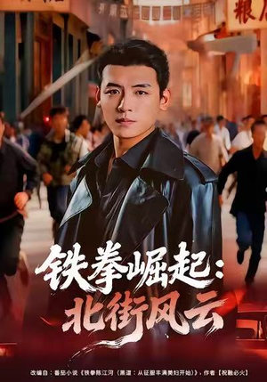 铁拳崛起：北街风云（80集）短剧收官全集限免看