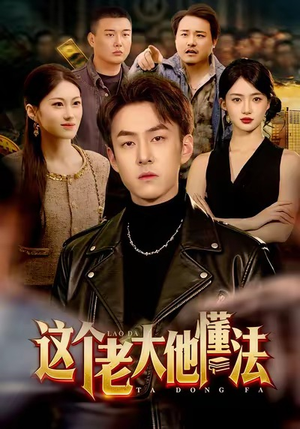 这个老大他懂法（100集）在线看短剧全集免费看