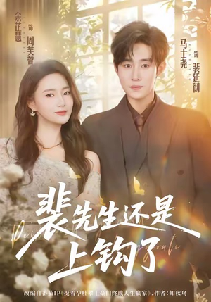 裴先生还是上钩了（62集）爆款短剧追不停