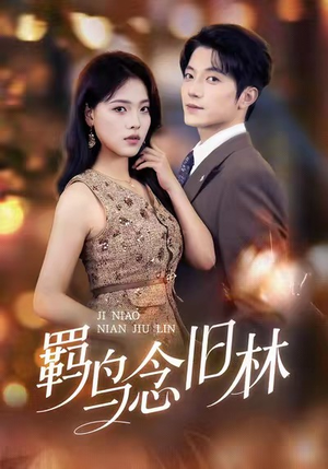 羁鸟念旧林（60集）全集免费观看的短剧资源整合