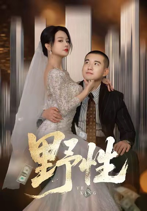 野性（70集）热播短剧持续更新中