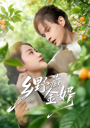 乡野藏金婿（50集）无需会员短剧免费看