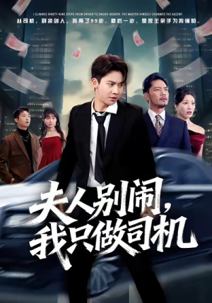夫人别闹我只做司机（80集）重生之追夫火葬场短剧