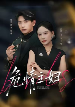 危情主妇（60集）好看又精彩的短剧来了