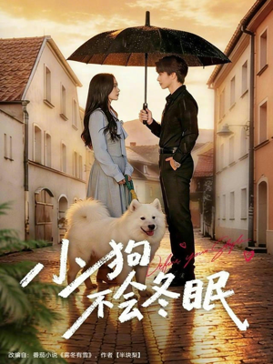 小狗不会冬眠（70集）短剧全集解锁零收费