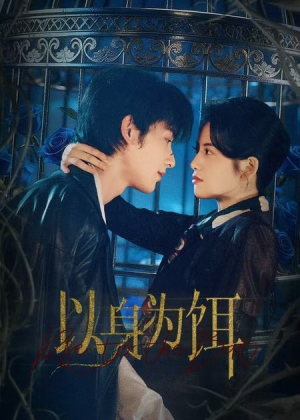 以身为饵（61集）短剧最热榜最近火的