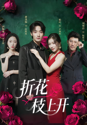 折花枝上开（51集）无需付费短剧全集免费看