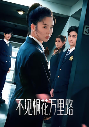 不见桐花万里路（71集）强烈推荐不容错过的短剧