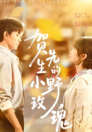 贺先生的小野玫瑰（99集）精彩短剧片段分享